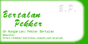 bertalan pekker business card